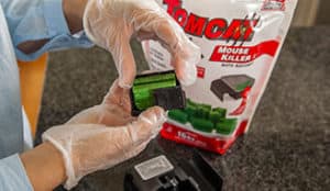 How long does Tomcat rat poison take to work in 2026?